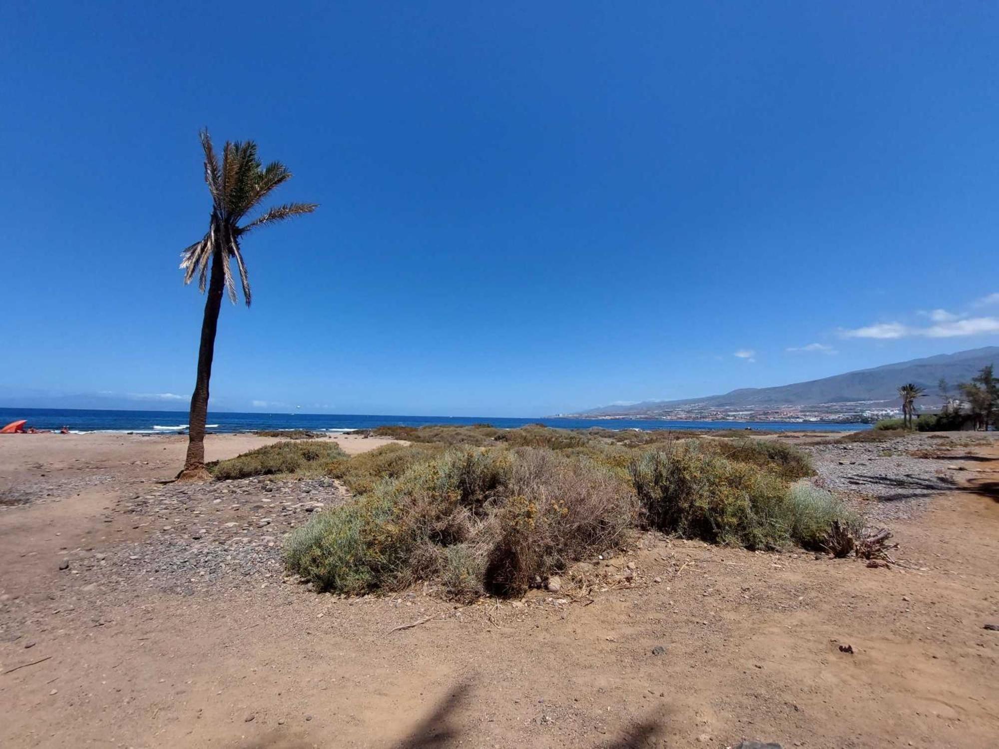 Appartamento Con 1 Camera Da Letto Con Vista Ov223 Costa Adeje (Tenerife) Exterior foto